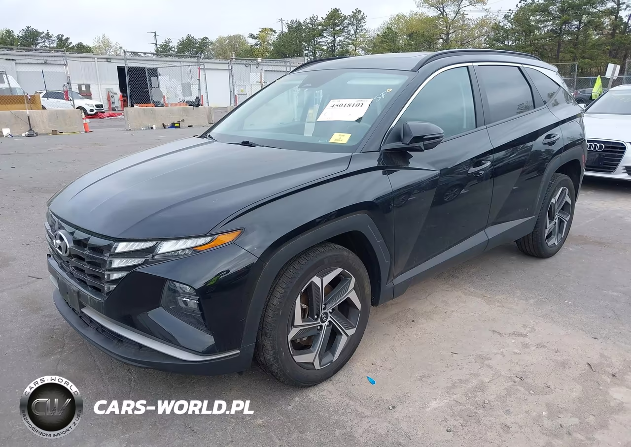 2023 Hyundai Tucson Sel VIN:5NMJFCAE9PH206524 - 2