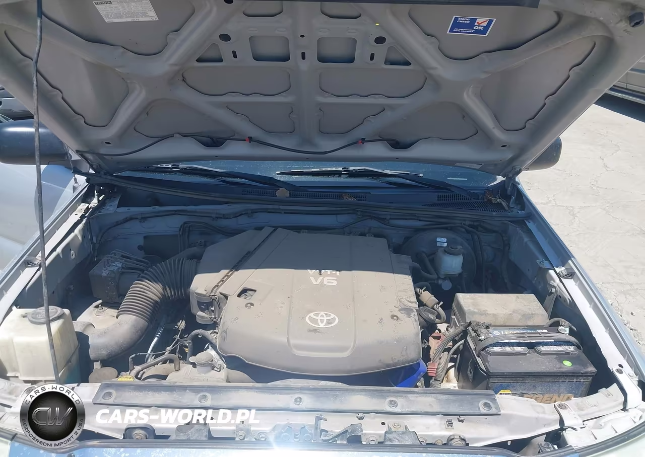 2010 Toyota Tacoma Base V6 VIN:5TELU4EN8AZ685542 - 10