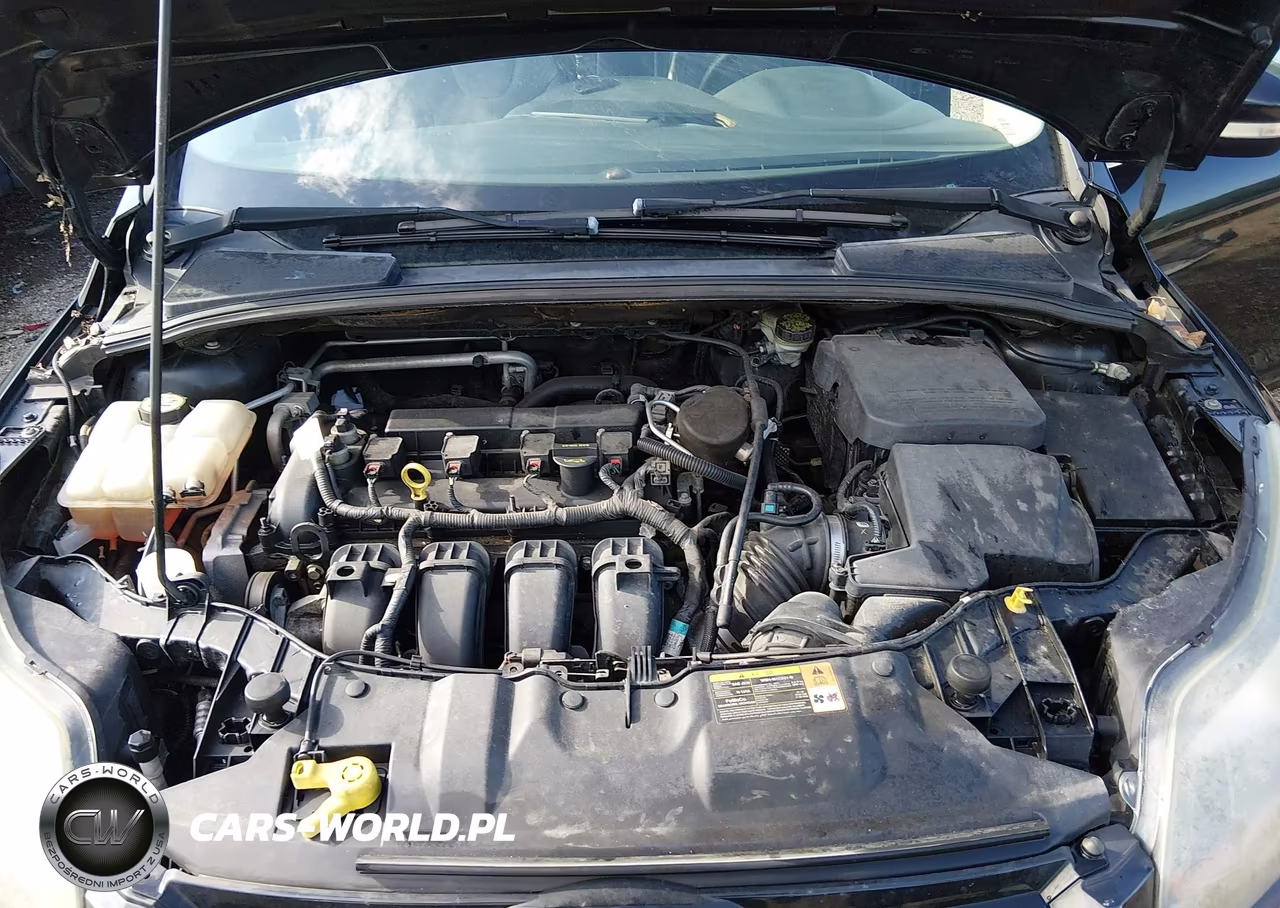 2014 Ford Focus Titanium VIN:1FADP3N21EL221790 - 10