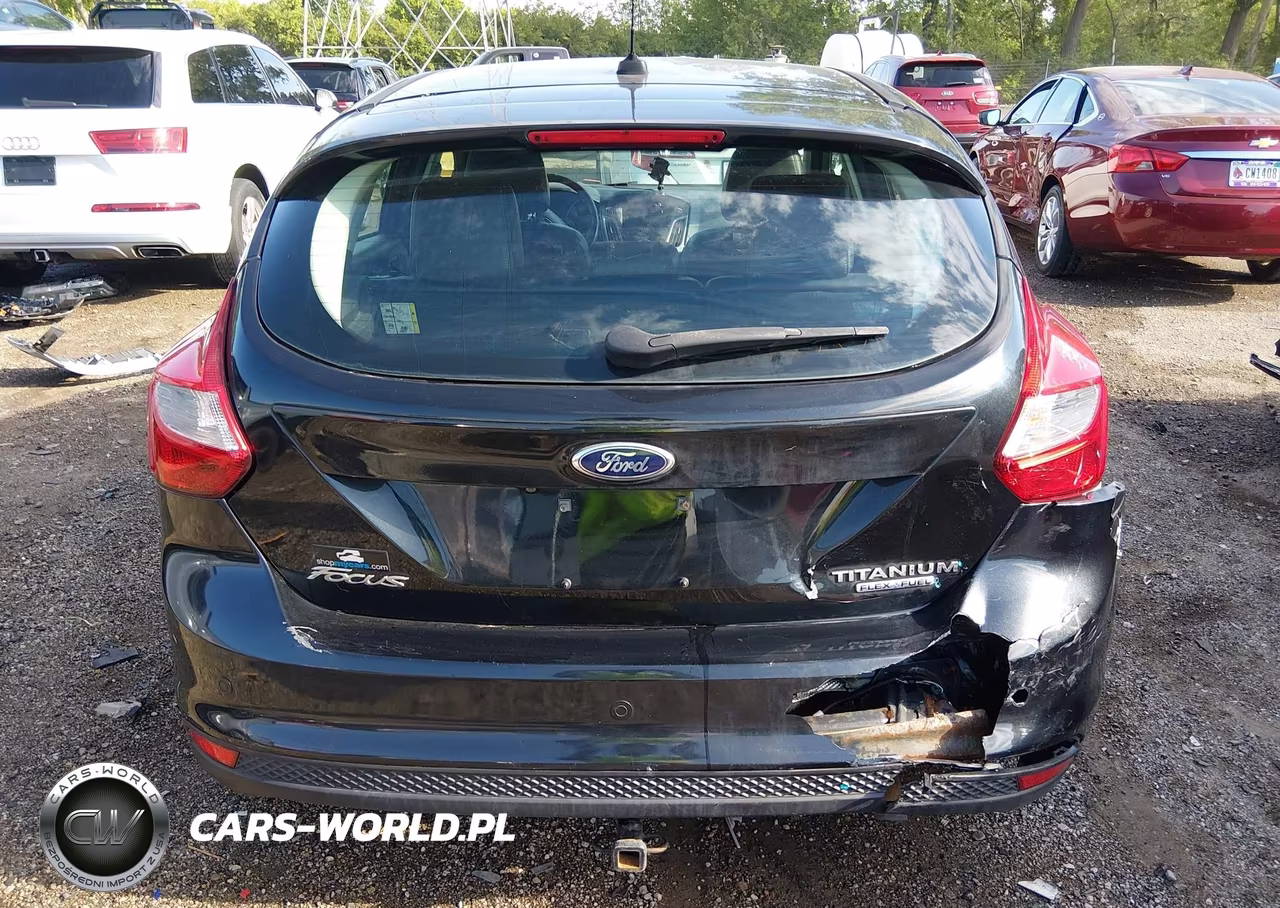 2014 Ford Focus Titanium VIN:1FADP3N21EL221790 - 16