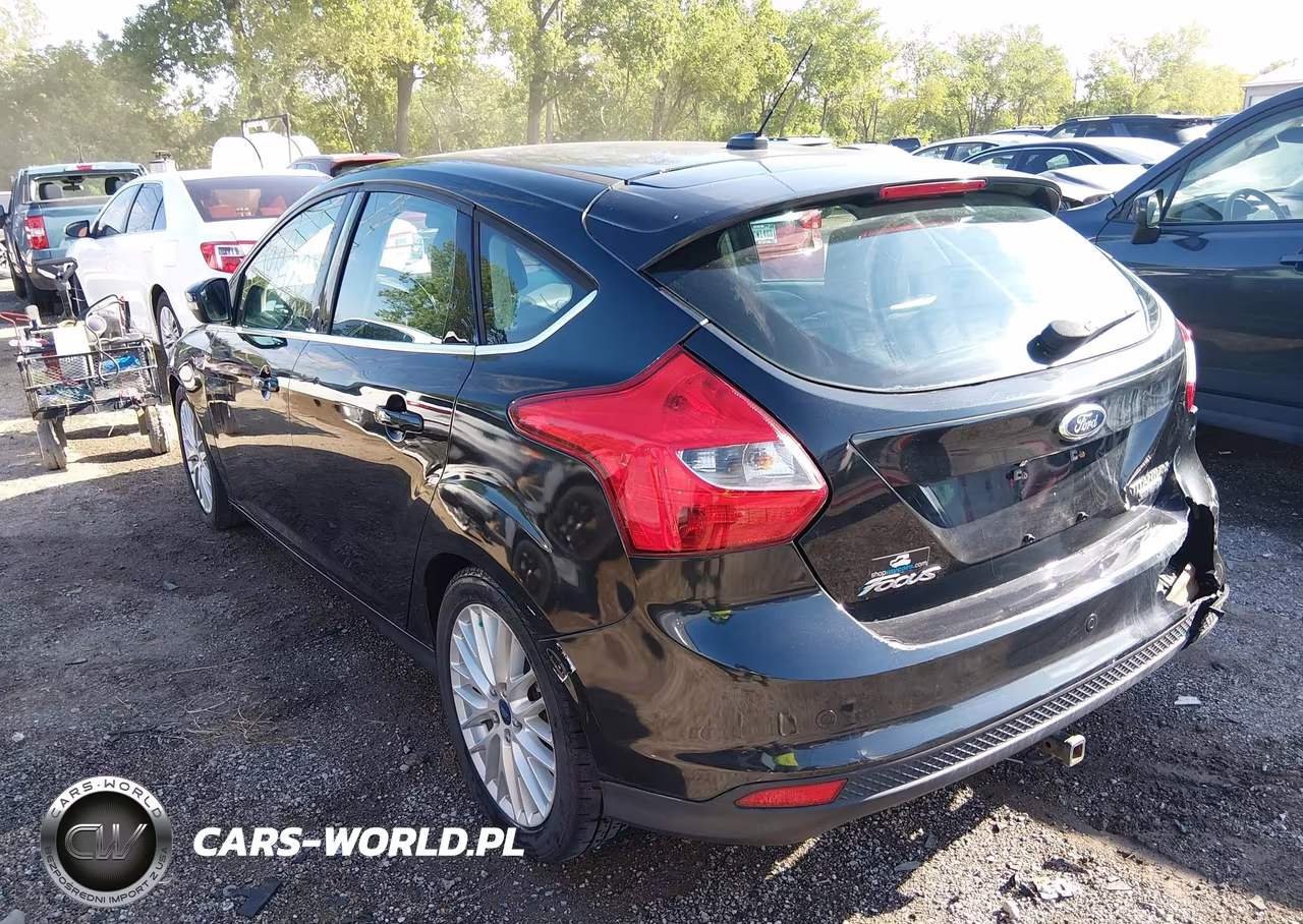 2014 Ford Focus Titanium VIN:1FADP3N21EL221790 - 17