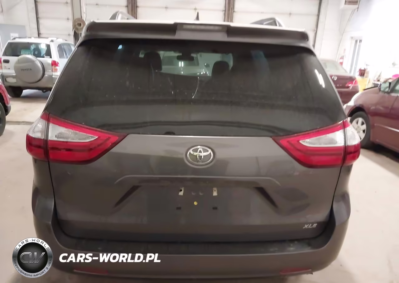 2019 Toyota Sienna Xle 8 Passenger VIN:5TDYZ3DCXKS002952 - 16