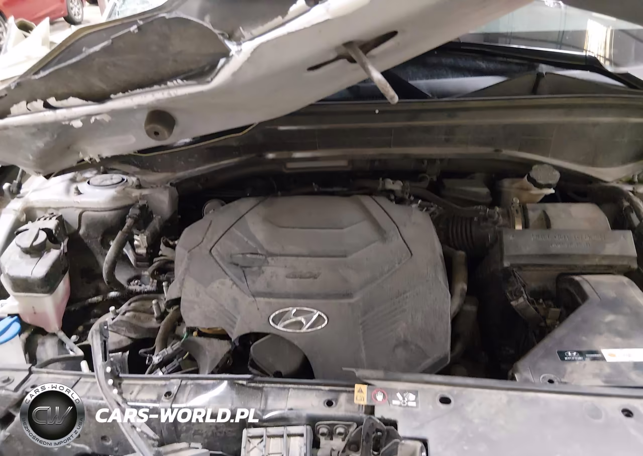 2022 Hyundai Palisade Sel VIN:KM8R4DHE1NU410482 - 10