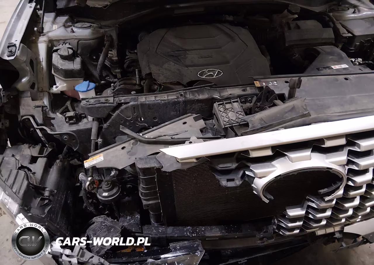 2022 Hyundai Palisade Sel VIN:KM8R4DHE1NU410482 - 19