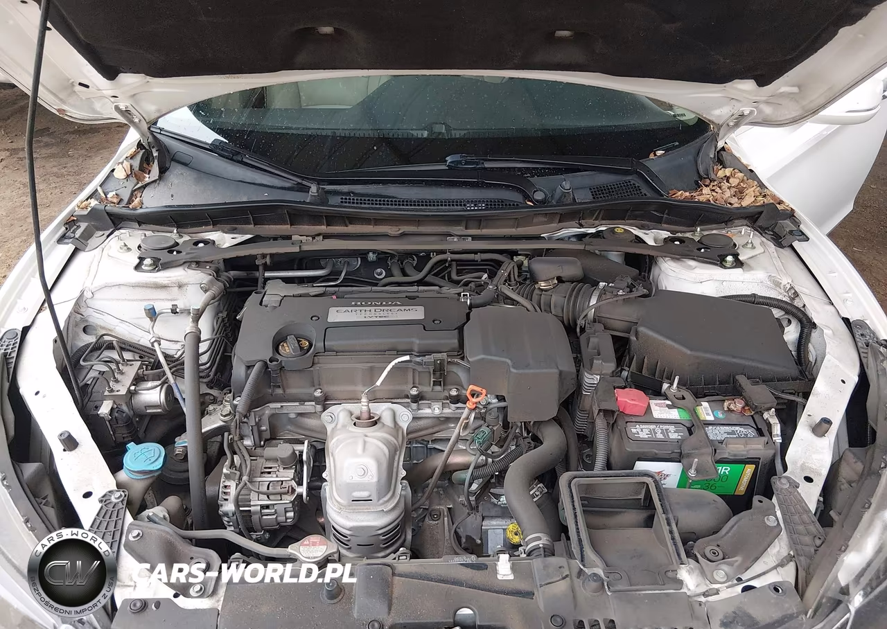 2013 Honda Accord Ex-L VIN:1HGCR2F80DA118109 - 10