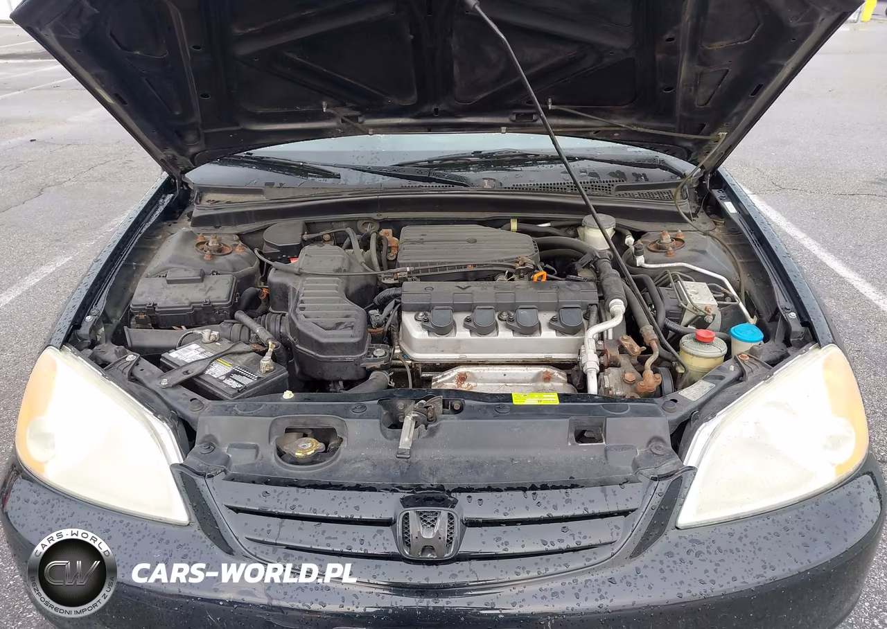 2003 Honda Civic Ex VIN:1HGES268X3L019443 - 10
