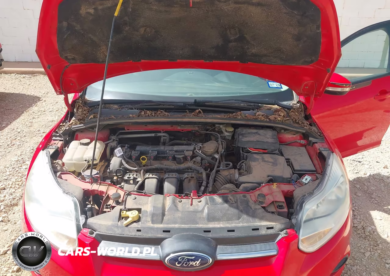 2014 Ford Focus Se VIN:1FADP3K20EL322985 - 10