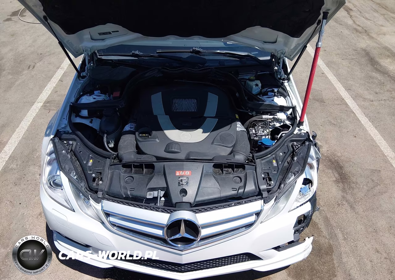2011 Mercedes-Benz E 550 VIN:WDDKJ7CB8BF070489 - 10