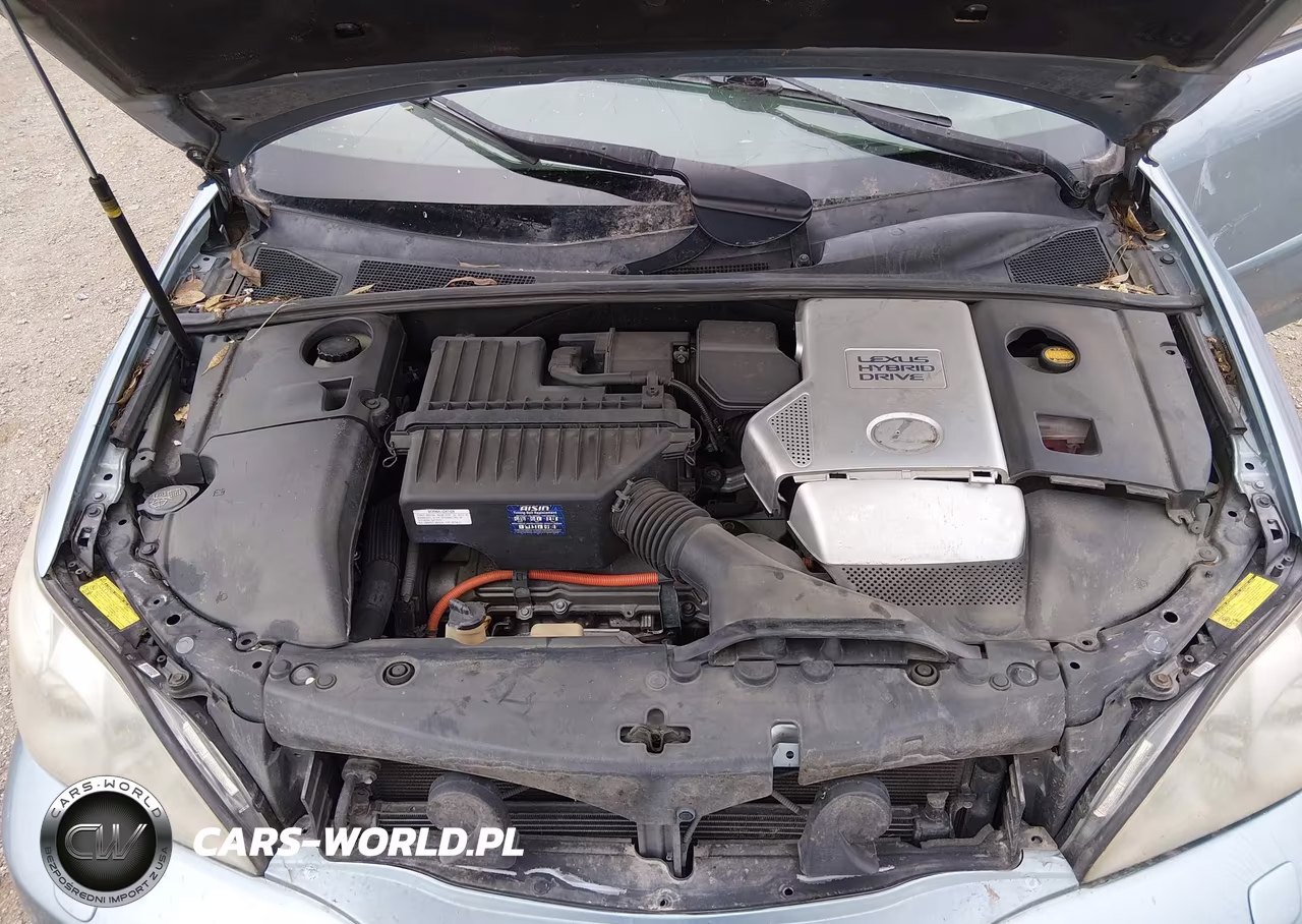 2008 Lexus Rx 400H VIN:JTJGW31U382008168 - 10