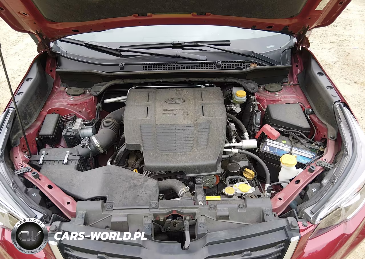 2019 Subaru Forester Premium VIN:JF2SKAGC0KH561278 - 10