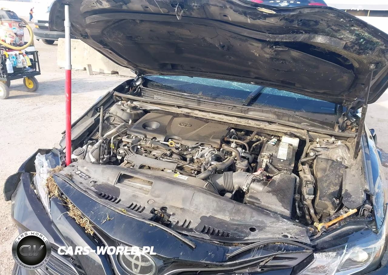 2019 Toyota Camry Le VIN:4T1B11HK5KU852739 - 10