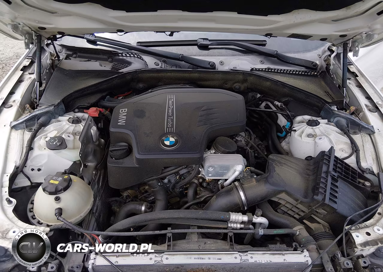 2015 BMW 528I VIN:WBA5A5C51FD515420 - 10