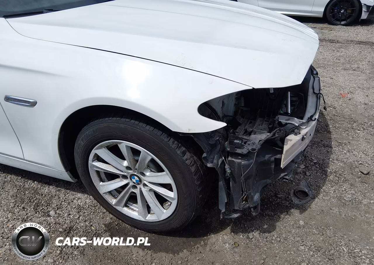 2015 BMW 528I VIN:WBA5A5C51FD515420 - 18