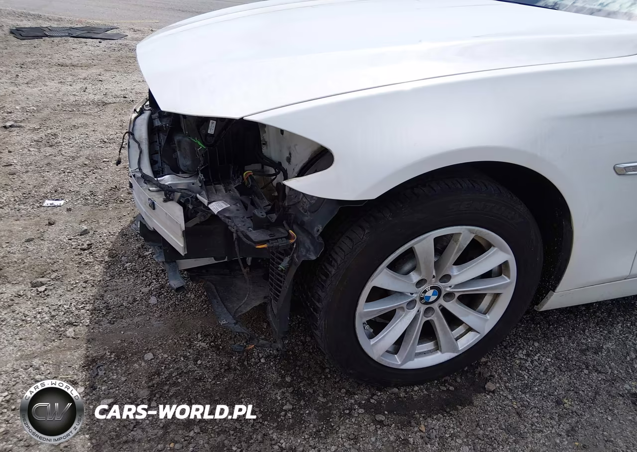 2015 BMW 528I VIN:WBA5A5C51FD515420 - 19
