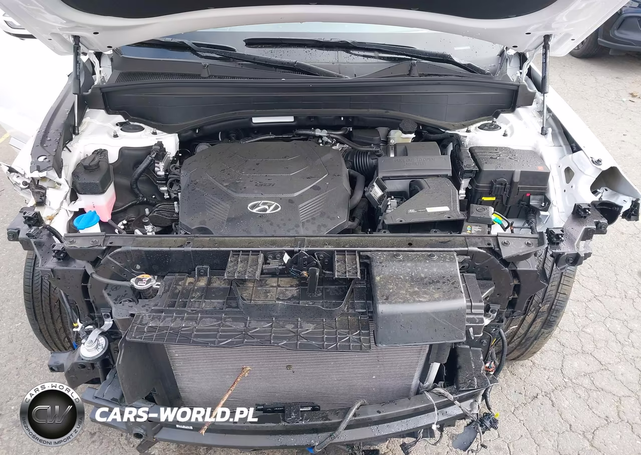 2025 Hyundai Palisade Calligraphy VIN:KM8R7DGE9SU952319 - 10