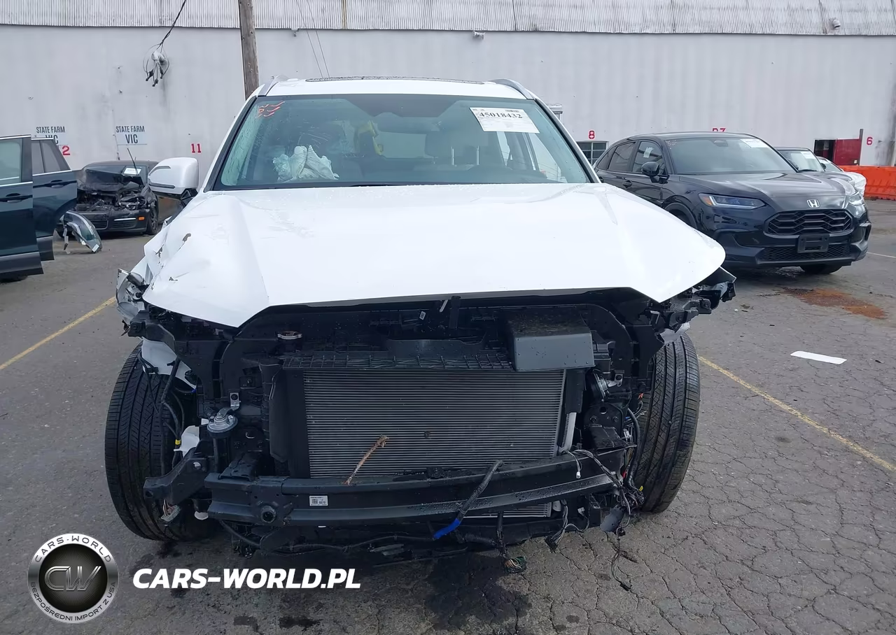 2025 Hyundai Palisade Calligraphy VIN:KM8R7DGE9SU952319 - 13