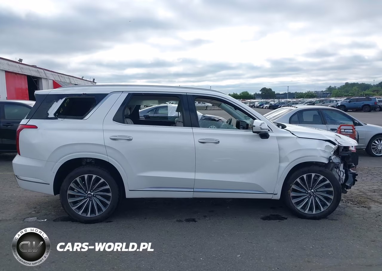 2025 Hyundai Palisade Calligraphy VIN:KM8R7DGE9SU952319 - 14