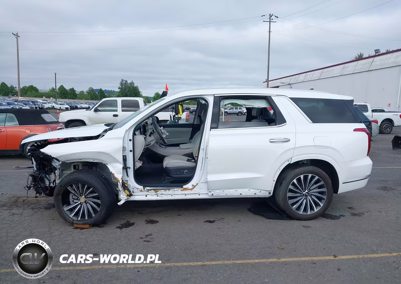 2025 Hyundai Palisade Calligraphy VIN:KM8R7DGE9SU952319 - 15