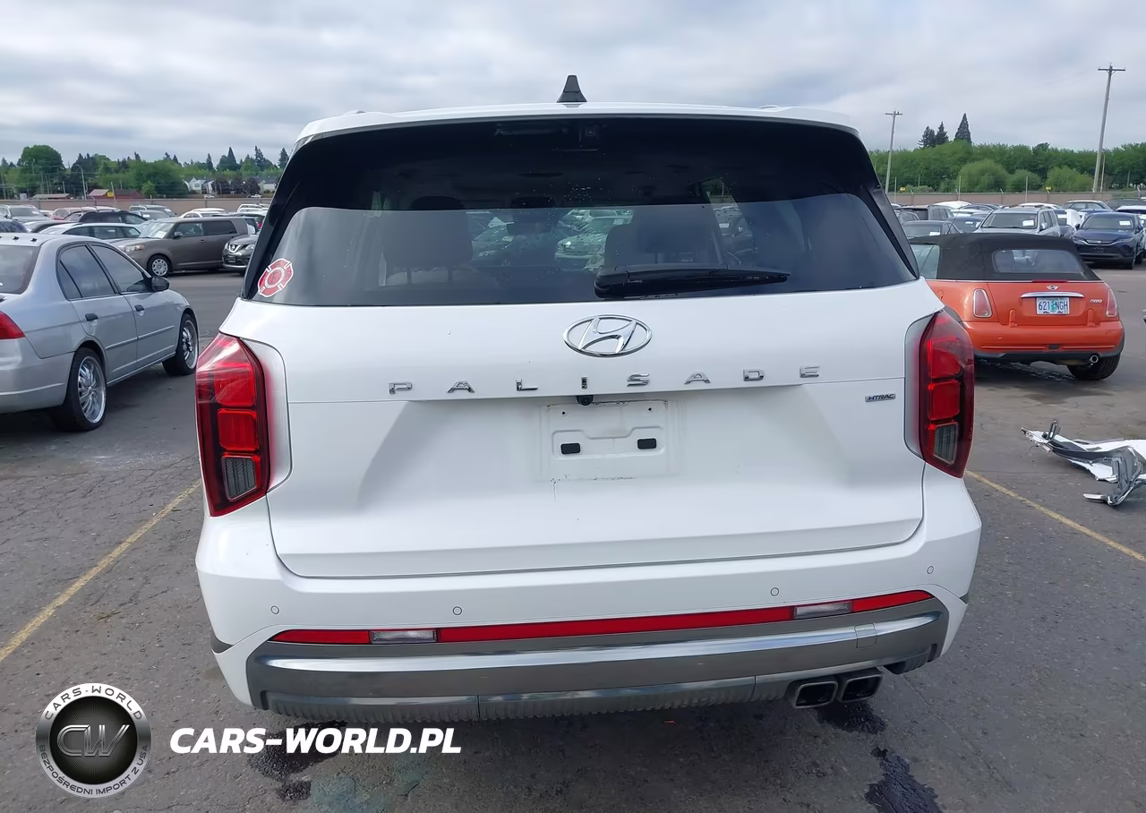 2025 Hyundai Palisade Calligraphy VIN:KM8R7DGE9SU952319 - 17