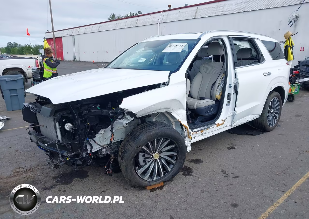 2025 Hyundai Palisade Calligraphy VIN:KM8R7DGE9SU952319 - 2