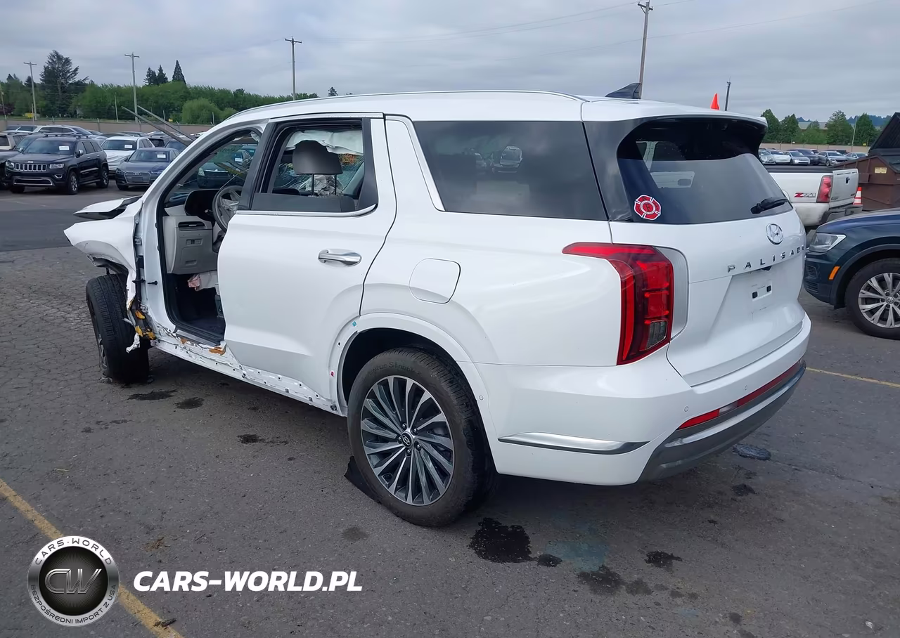 2025 Hyundai Palisade Calligraphy VIN:KM8R7DGE9SU952319 - 3
