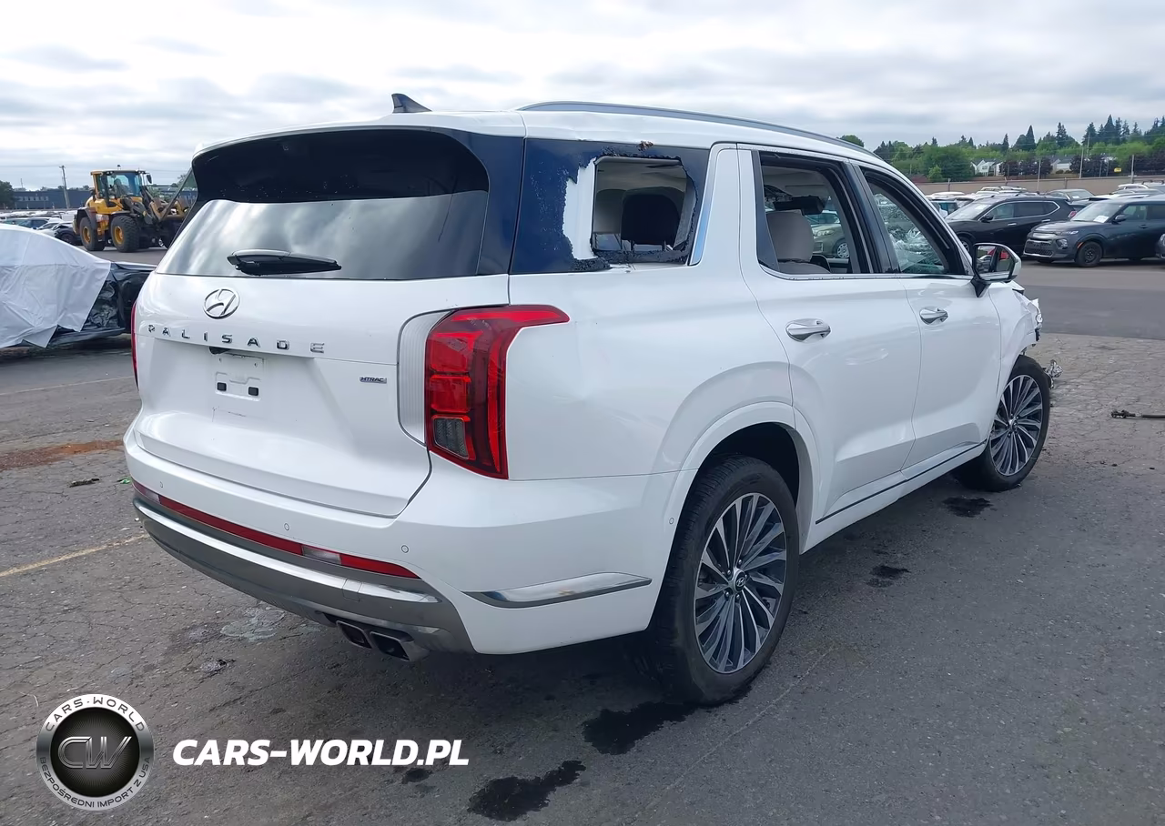 2025 Hyundai Palisade Calligraphy VIN:KM8R7DGE9SU952319 - 4