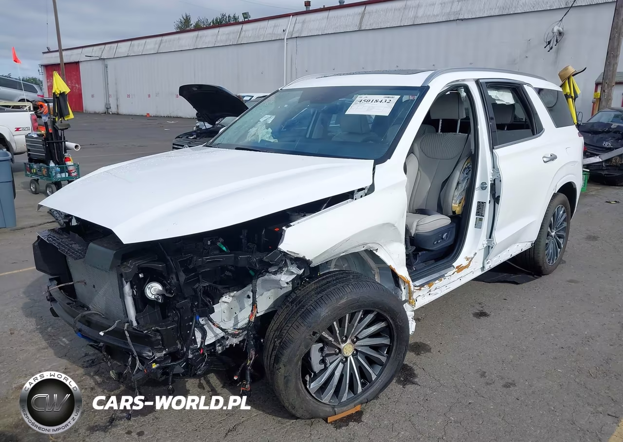 2025 Hyundai Palisade Calligraphy VIN:KM8R7DGE9SU952319 - 6