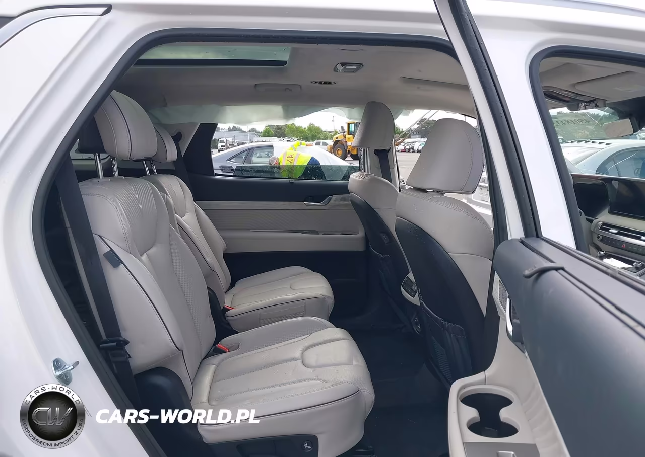 2025 Hyundai Palisade Calligraphy VIN:KM8R7DGE9SU952319 - 8