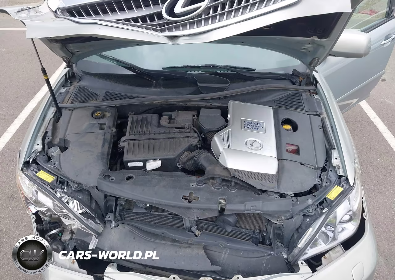 2008 Lexus Rx 400H VIN:JTJGW31U582007992 - 10