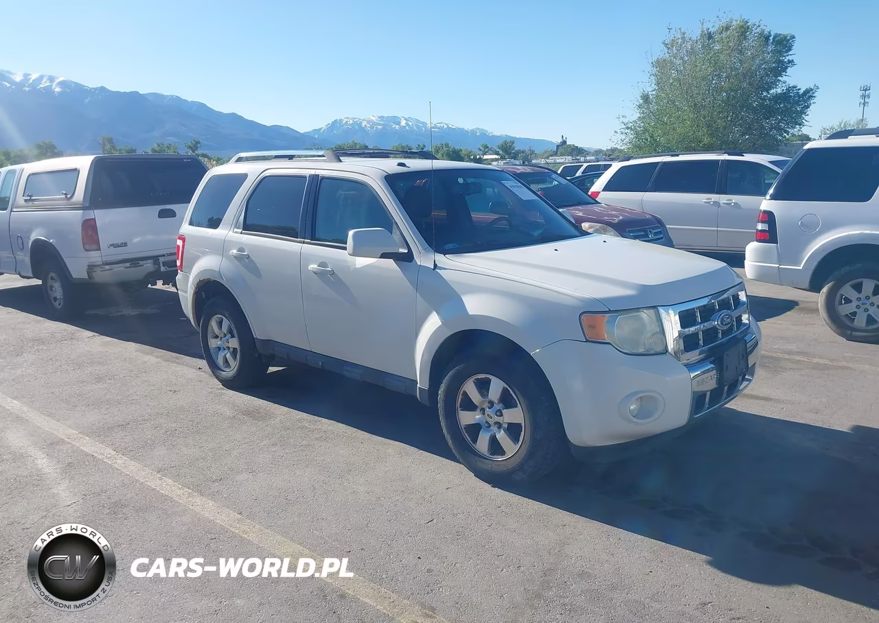 2010 Ford Escape Limited