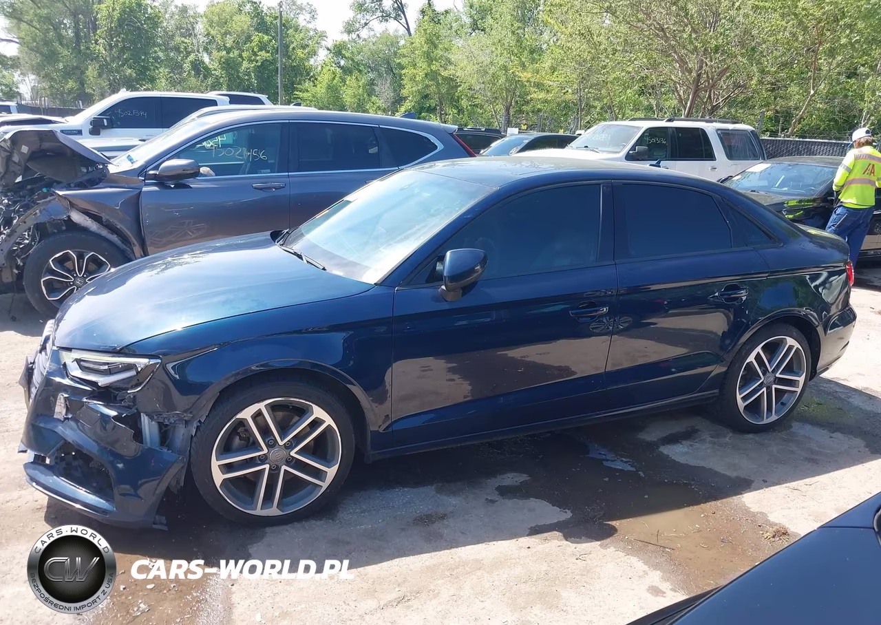2017 Audi A3 2.0T Premium VIN:WAUAUGFF2H1034974 - 14