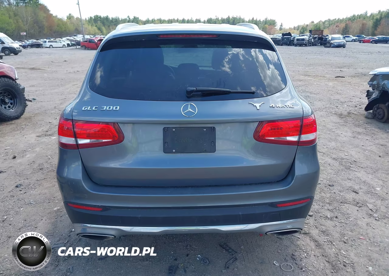 2016 Mercedes-Benz Glc 300 4Matic VIN:WDC0G4KB7GF011743 - 16