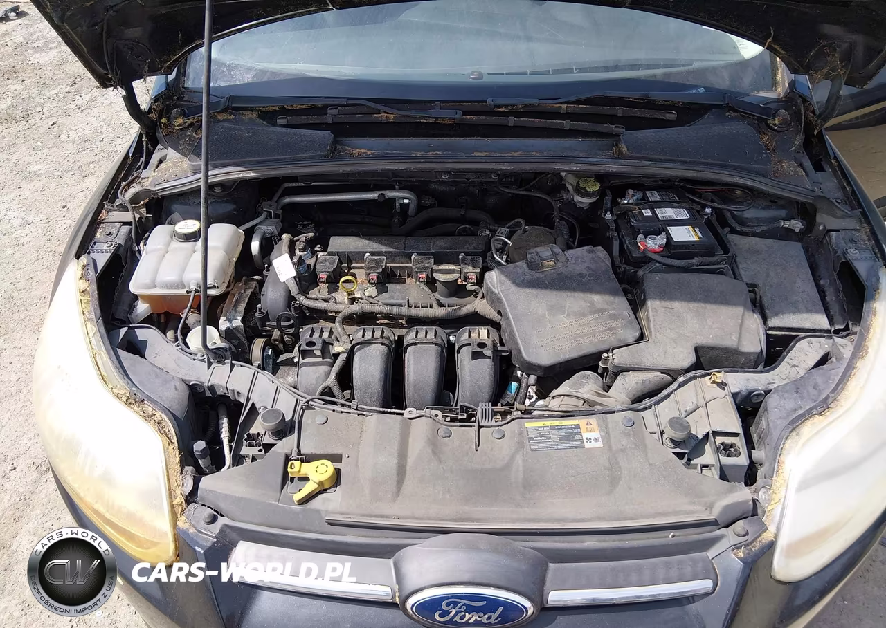 2013 Ford Focus Se VIN:1FADP3K20DL277321 - 10