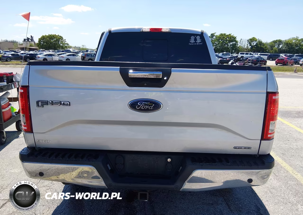 2016 Ford F-150 Xlt VIN:1FTEW1C87GKD84059 - 16