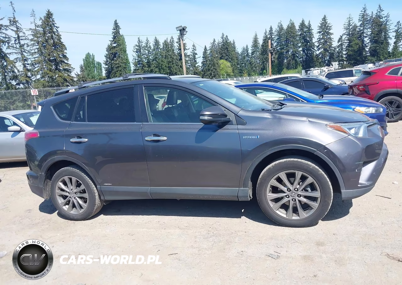 2017 Toyota Rav4 Hybrid Limited VIN:JTMDJREV6HD141103 - 13