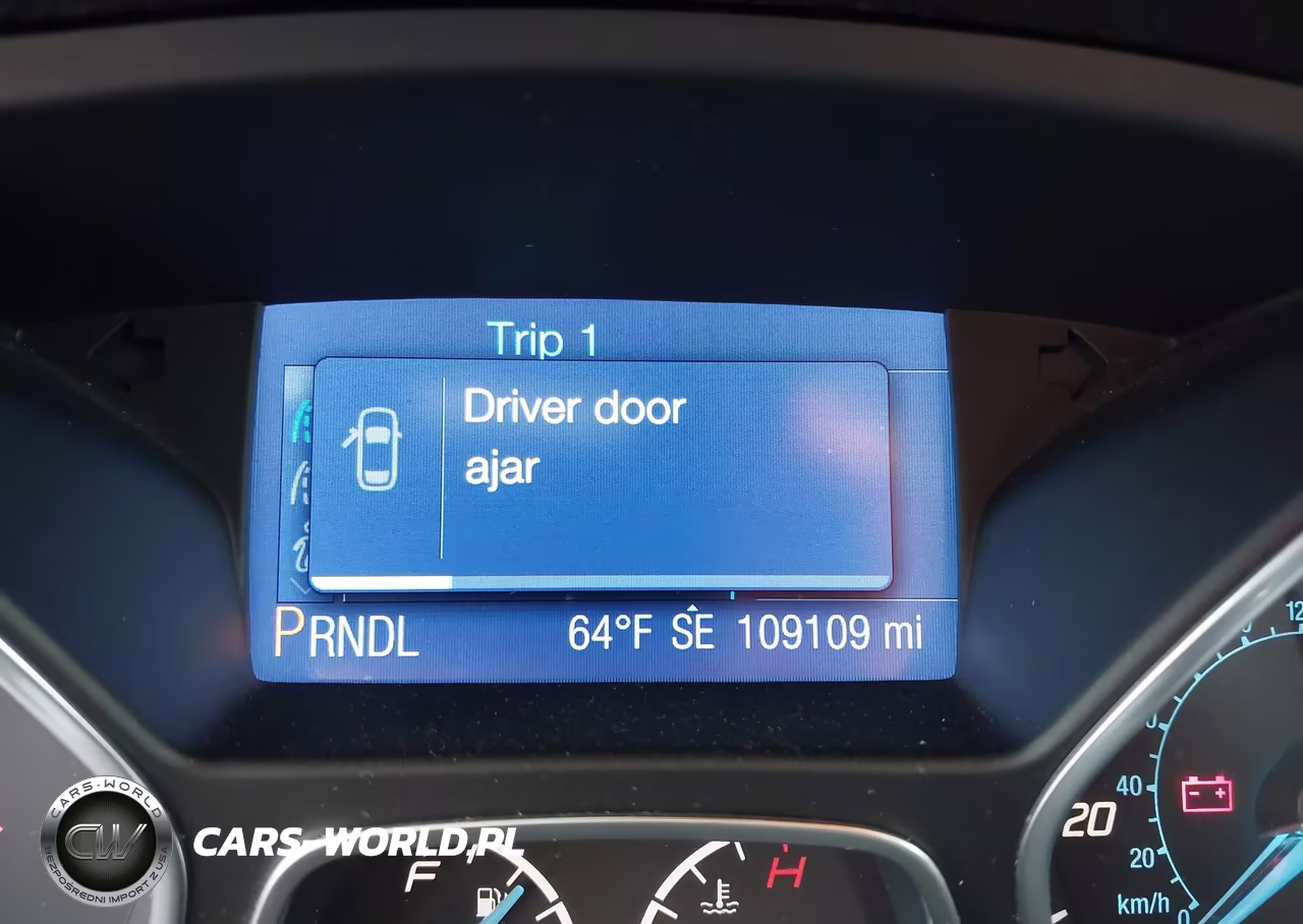2013 Ford Focus Se VIN:1FADP3F27DL296720 - 12