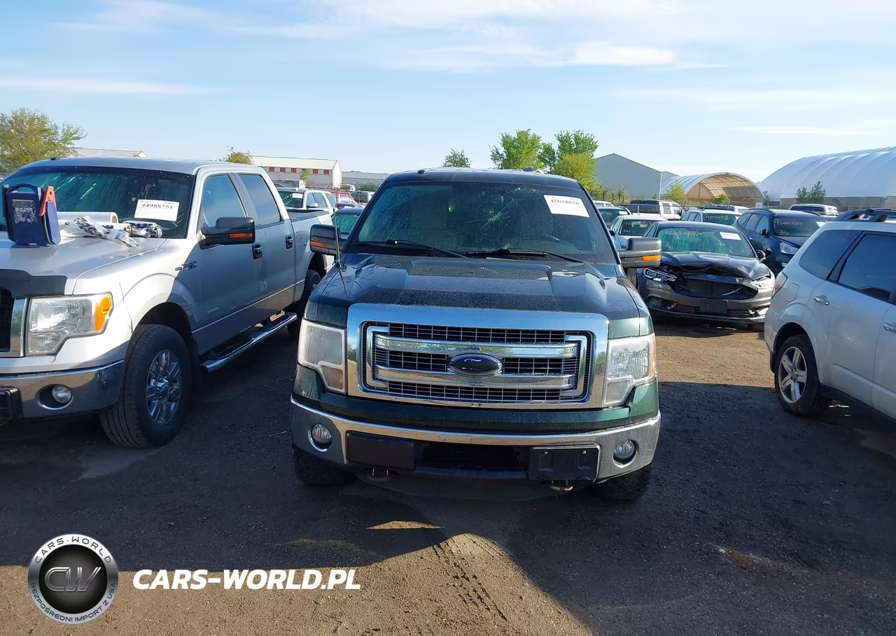 2013 Ford F-150 Xlt VIN:1FTFW1ET9DKG28490 - 12