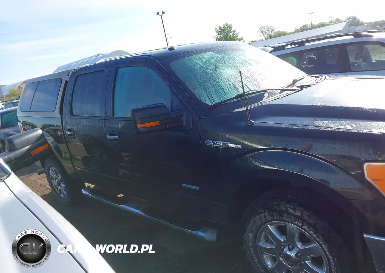 2013 Ford F-150 Xlt VIN:1FTFW1ET9DKG28490 - 13