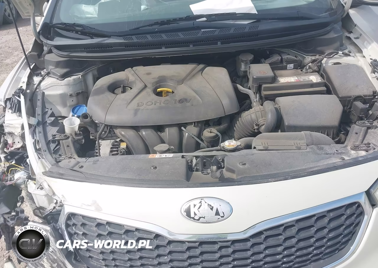 2014 Kia Forte Lx VIN:KNAFK4A64E5141532 - 10