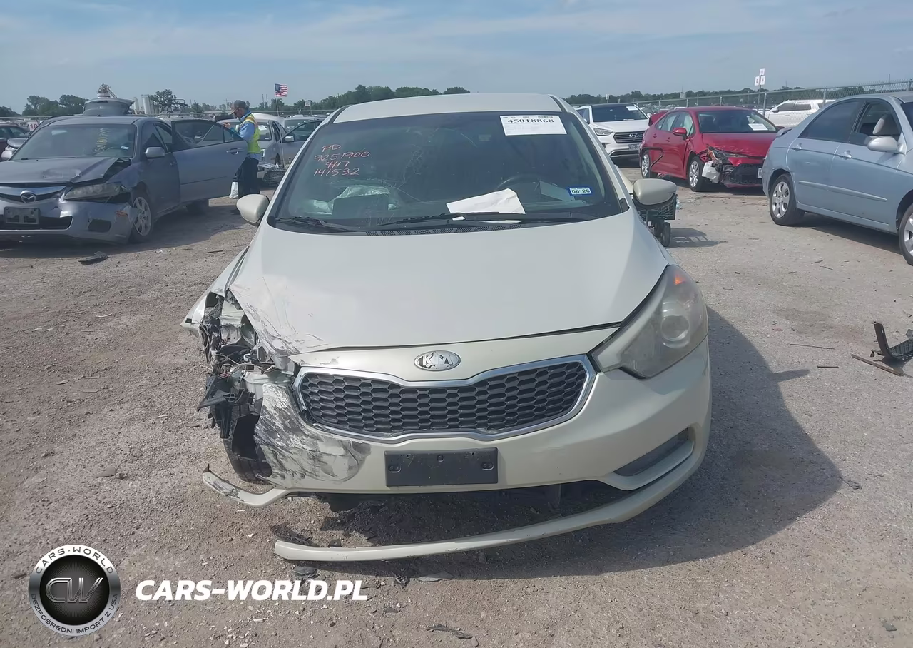 2014 Kia Forte Lx VIN:KNAFK4A64E5141532 - 12