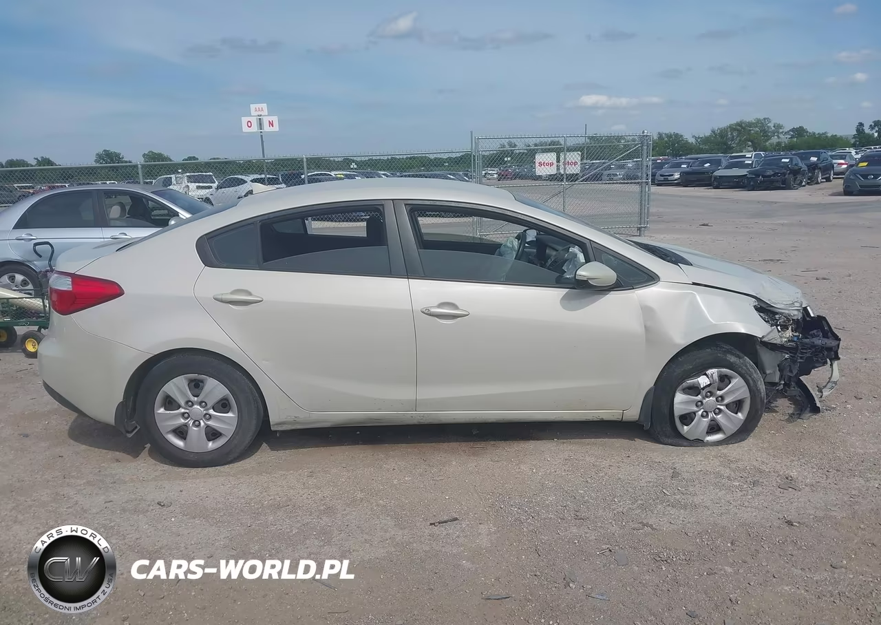 2014 Kia Forte Lx VIN:KNAFK4A64E5141532 - 13