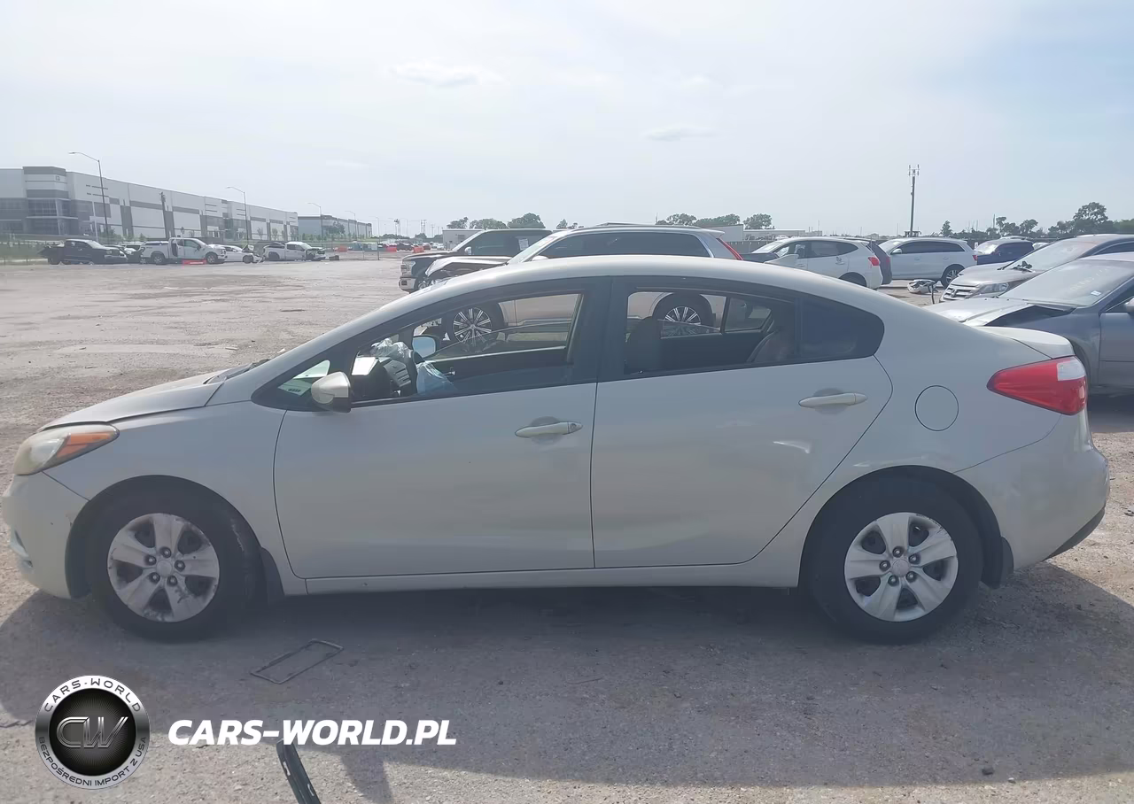 2014 Kia Forte Lx VIN:KNAFK4A64E5141532 - 14