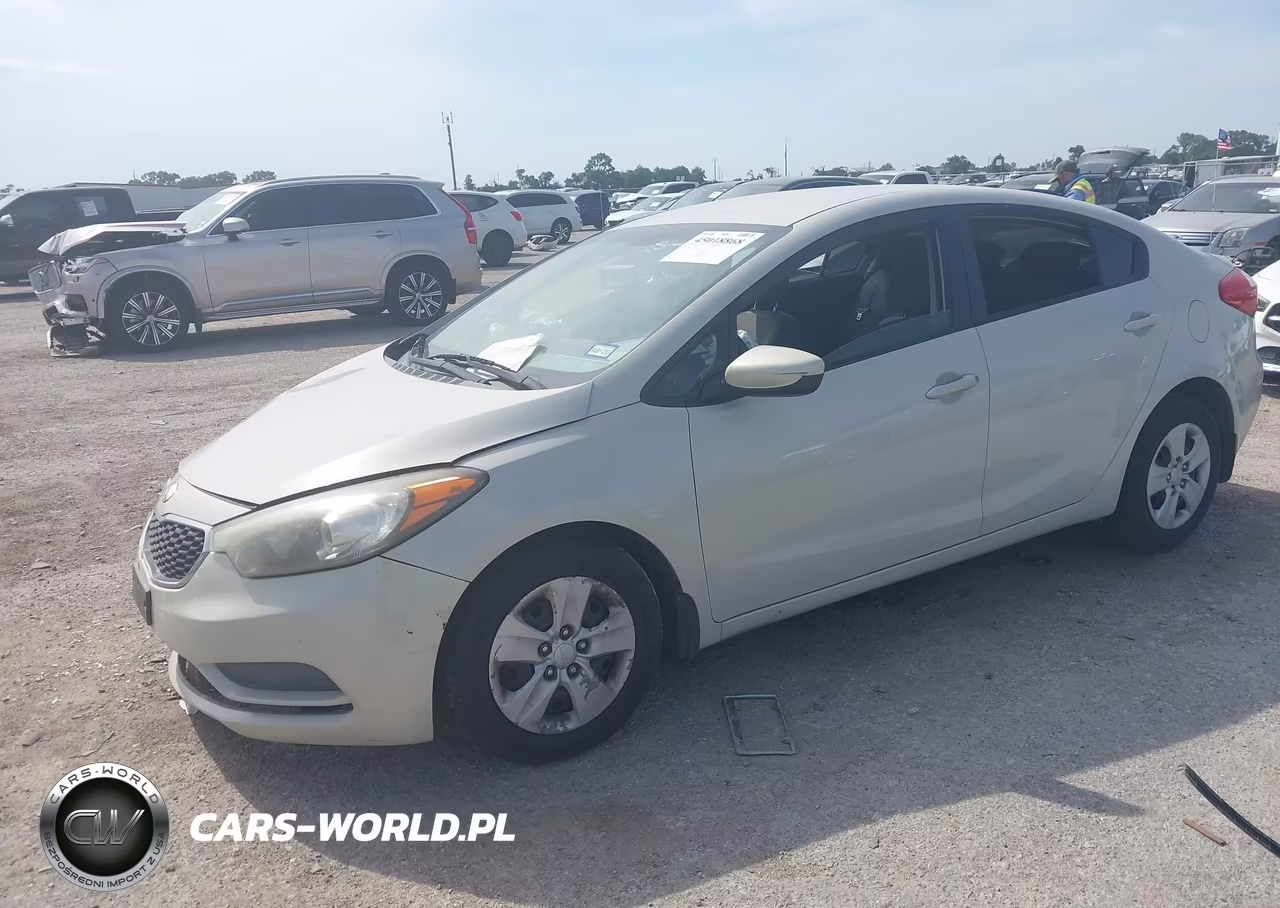 2014 Kia Forte Lx VIN:KNAFK4A64E5141532 - 2