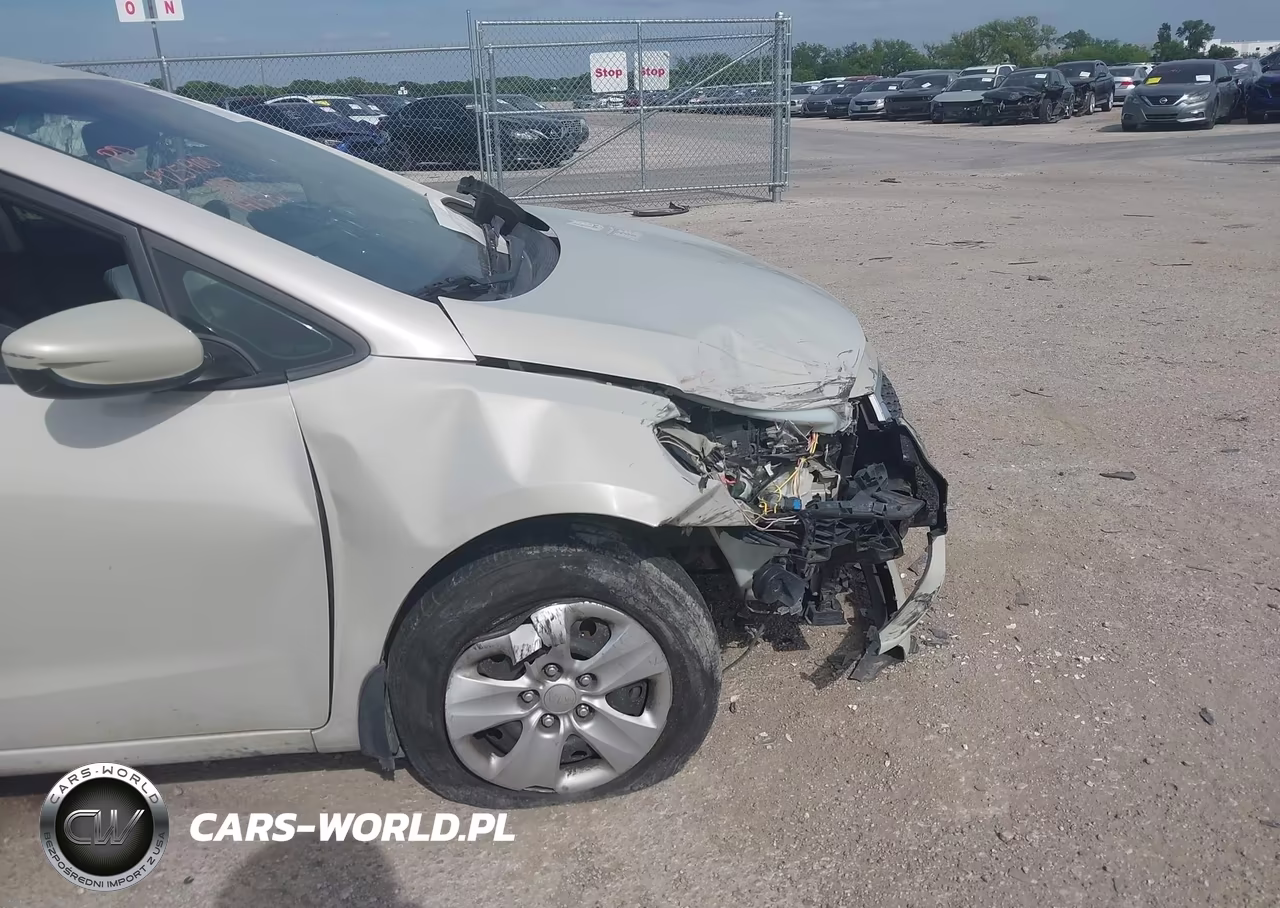 2014 Kia Forte Lx VIN:KNAFK4A64E5141532 - 6