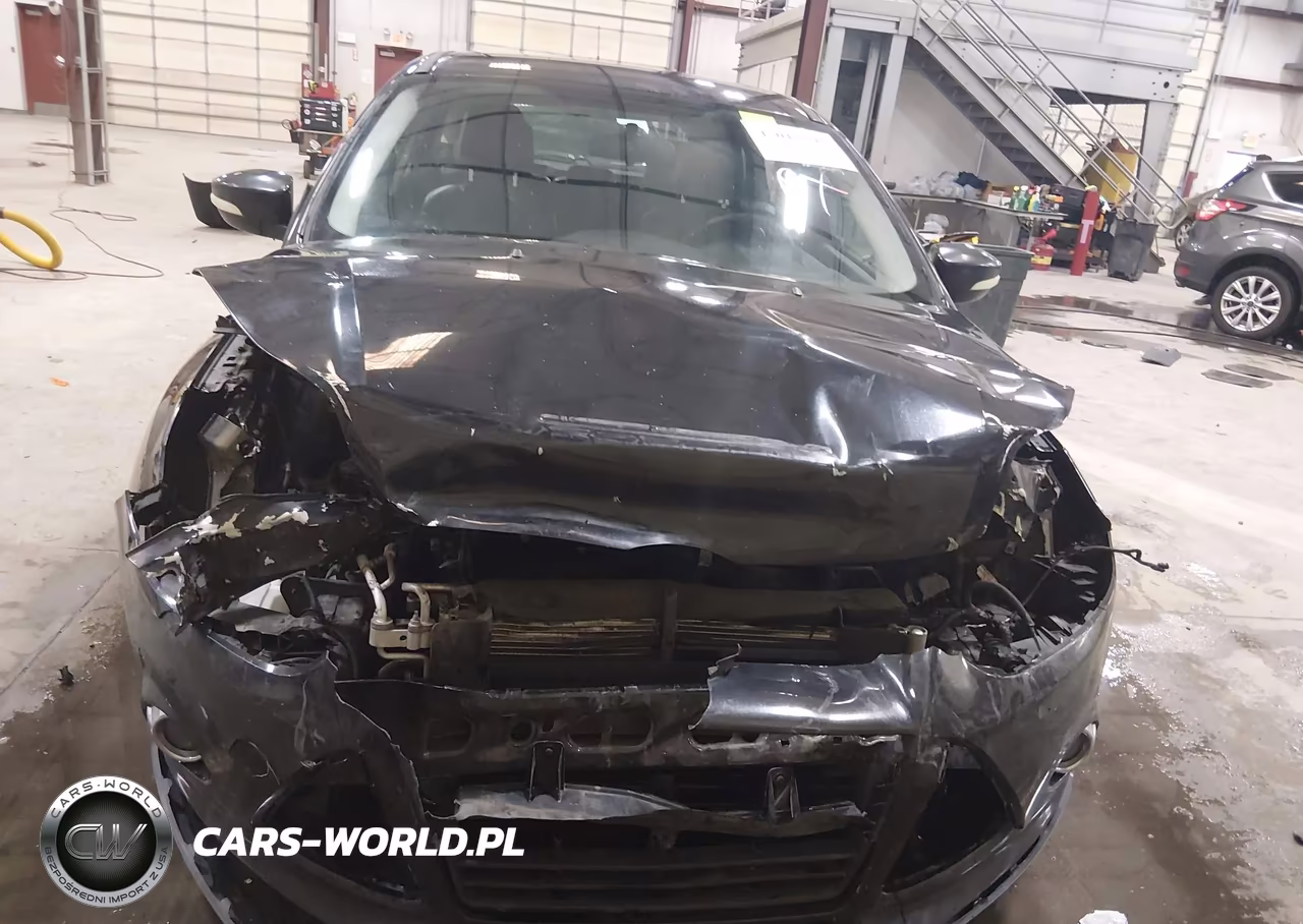 2014 Ford Focus Se VIN:1FADP3K25EL326031 - 13