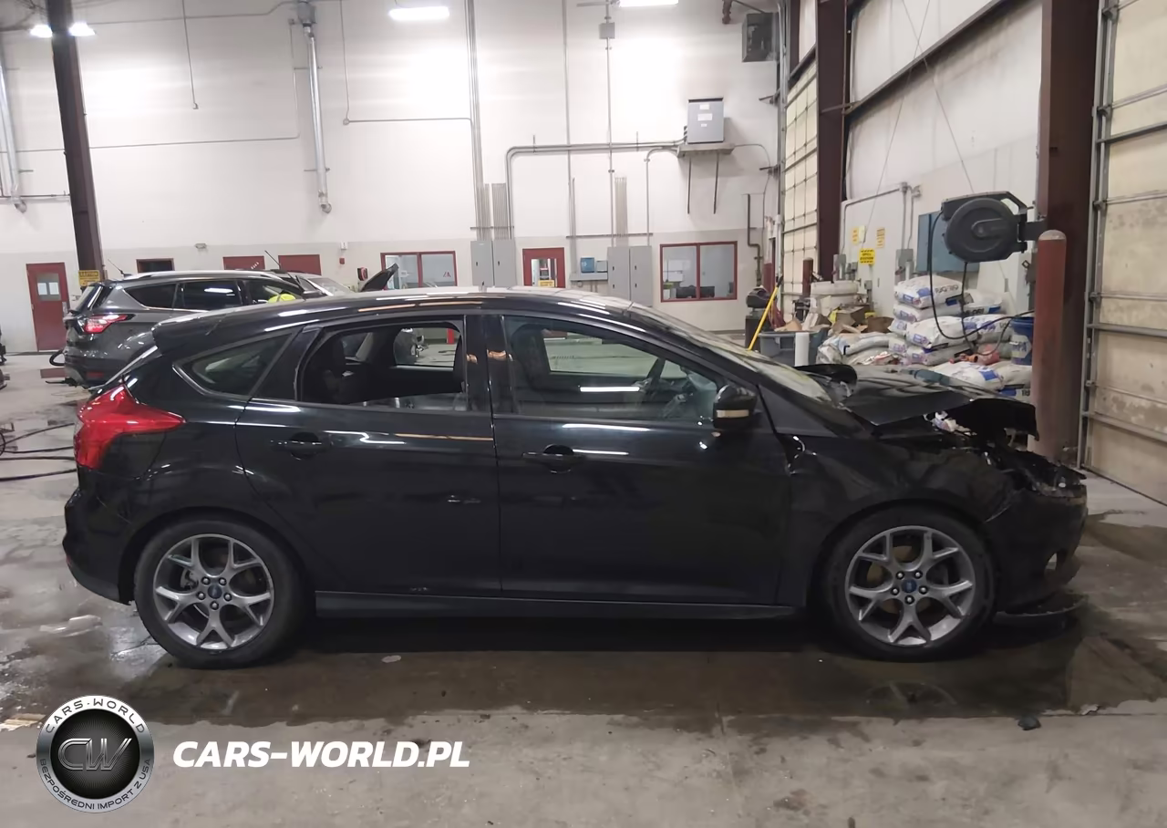 2014 Ford Focus Se VIN:1FADP3K25EL326031 - 14