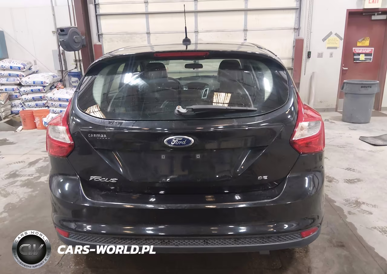 2014 Ford Focus Se VIN:1FADP3K25EL326031 - 17