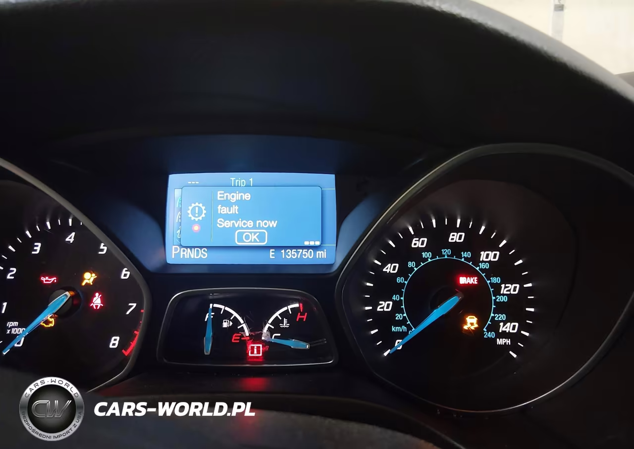 2014 Ford Focus Se VIN:1FADP3K25EL326031 - 7