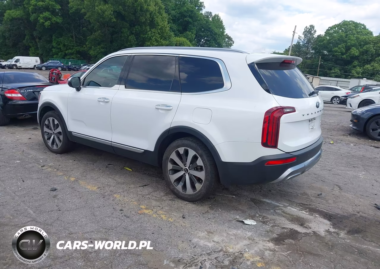 2020 Kia Telluride S VIN:5XYP64HC3LG095283 - 3