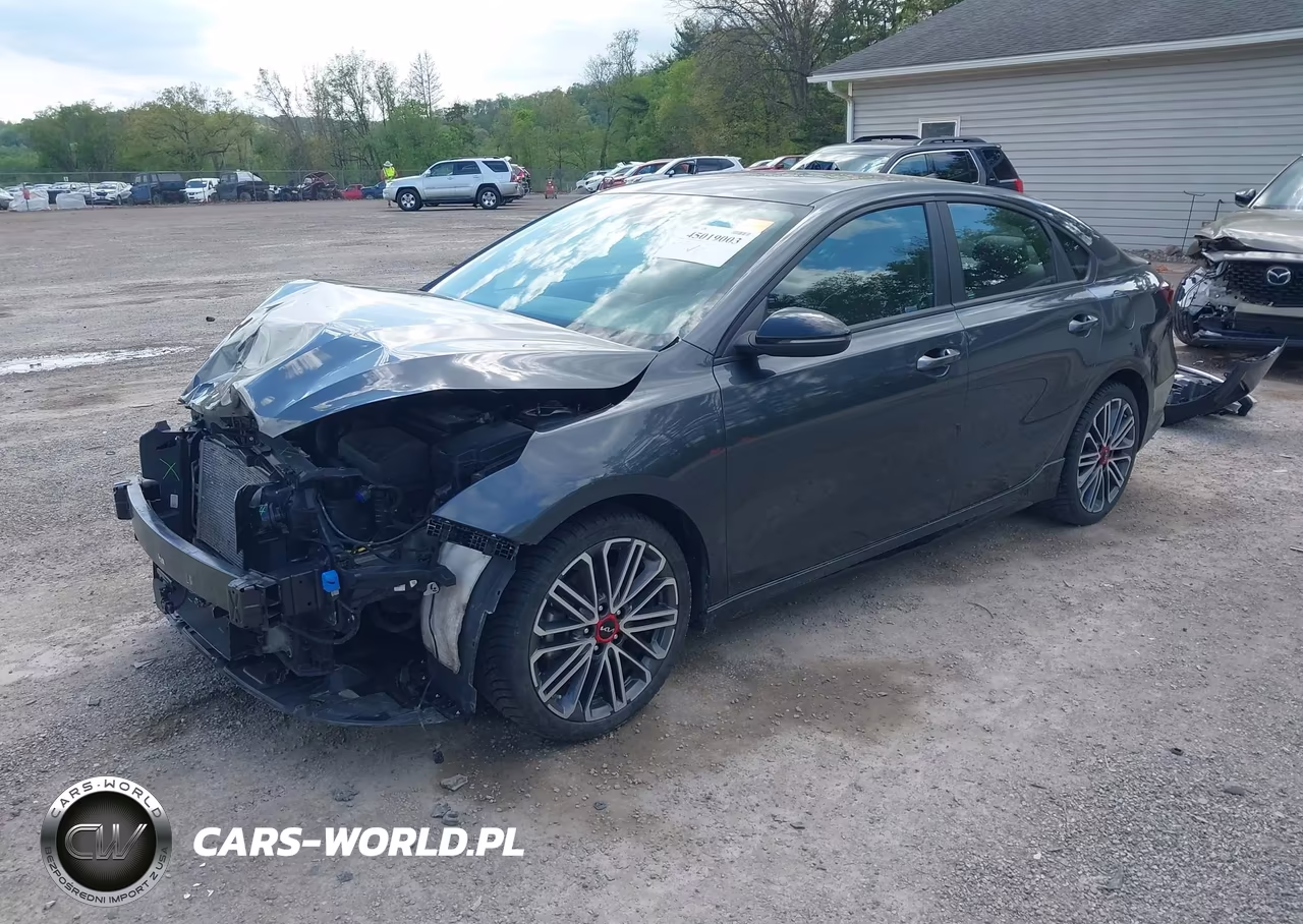 2022 Kia Forte Gt VIN:3KPF44ACXNE499449 - 2
